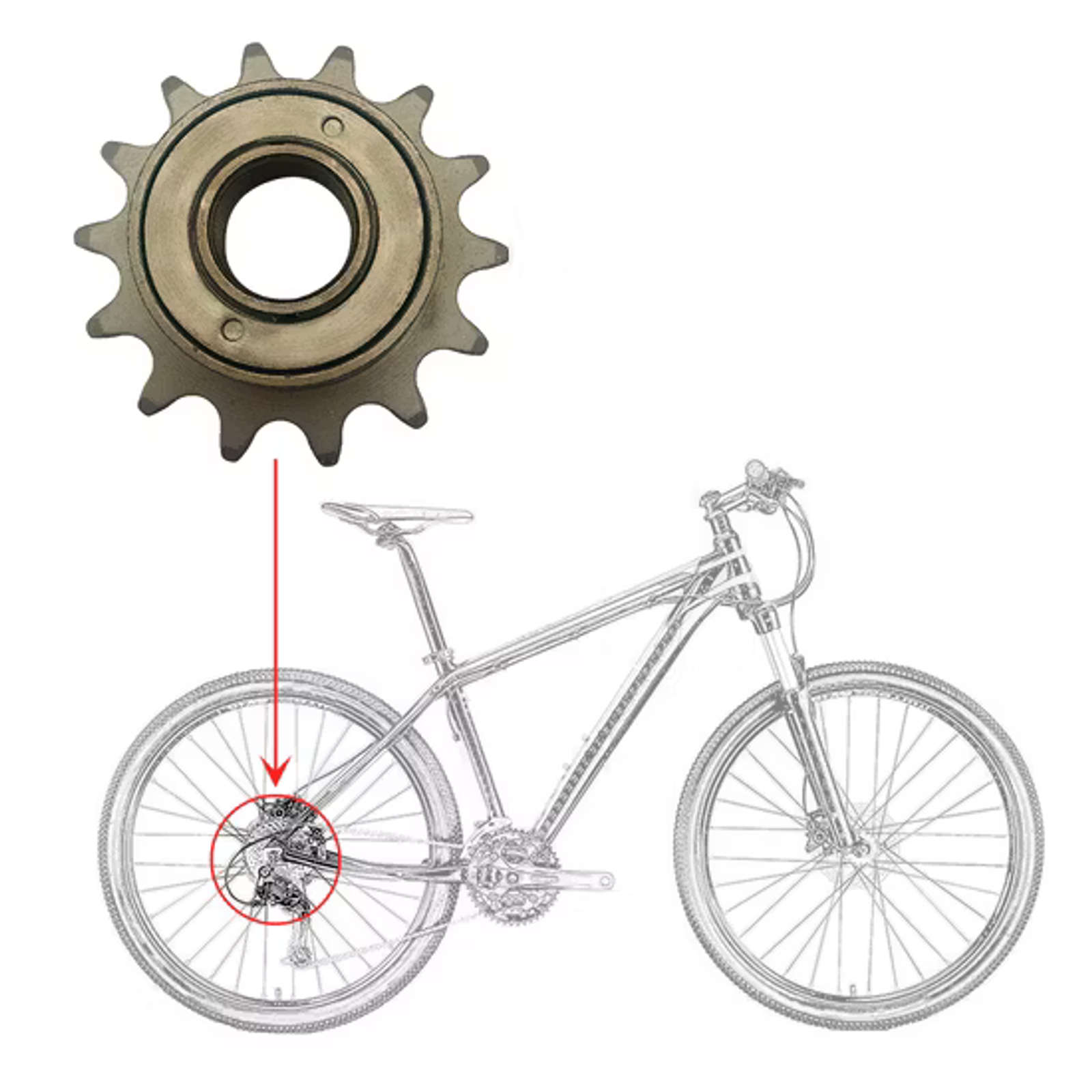 Product Image 2 of undefined - undefined from Voltebyk