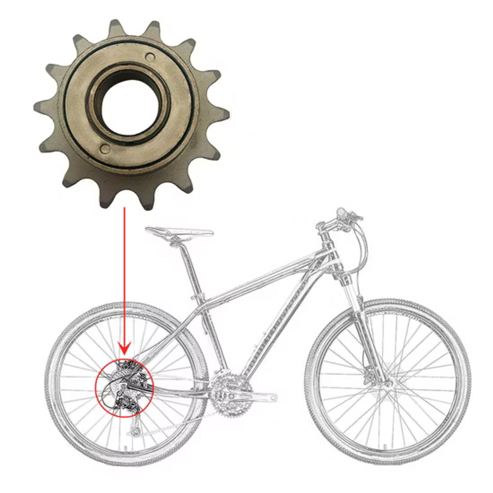 Bicycle Free Wheel alternate view