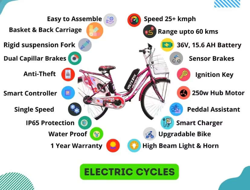 Bicycle specification detail 3 - Volt Shine Electric 15.6 AH