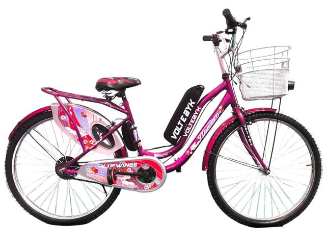 Voltebyk Shine Electric Bike