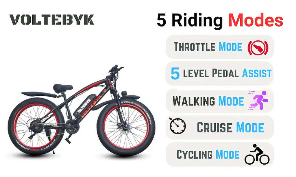 Bicycle specification detail 4 - Runner Pro Electric FatBike 13 AH - Blue