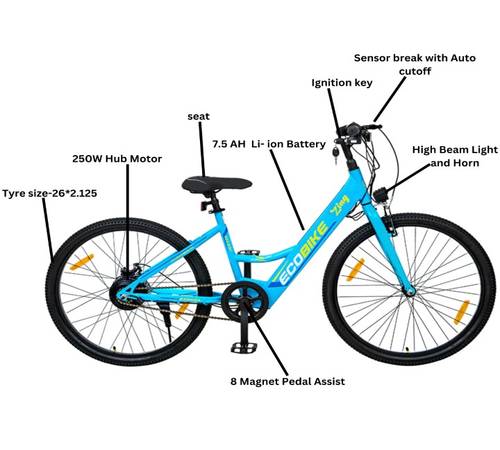 Product Image 6 of Zing Eco-Bike Electric Cycle - Electric from Voltebyk