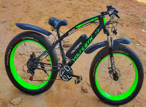 Electric cycle owner