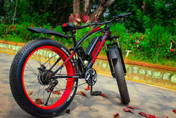 Customer electric bike review photo 5