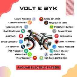 Thumbnail 5 of Jaguar Electric 13AH | Blue - Electric from Voltebyk