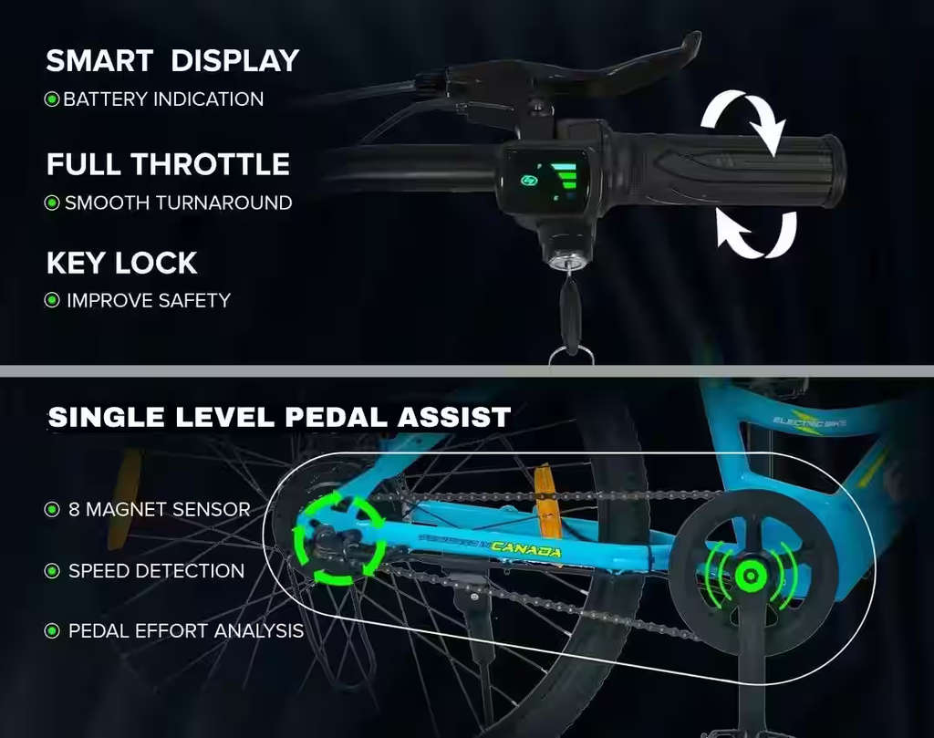 Bicycle specification detail 3 - Hybrid Electric Bike 13 AH