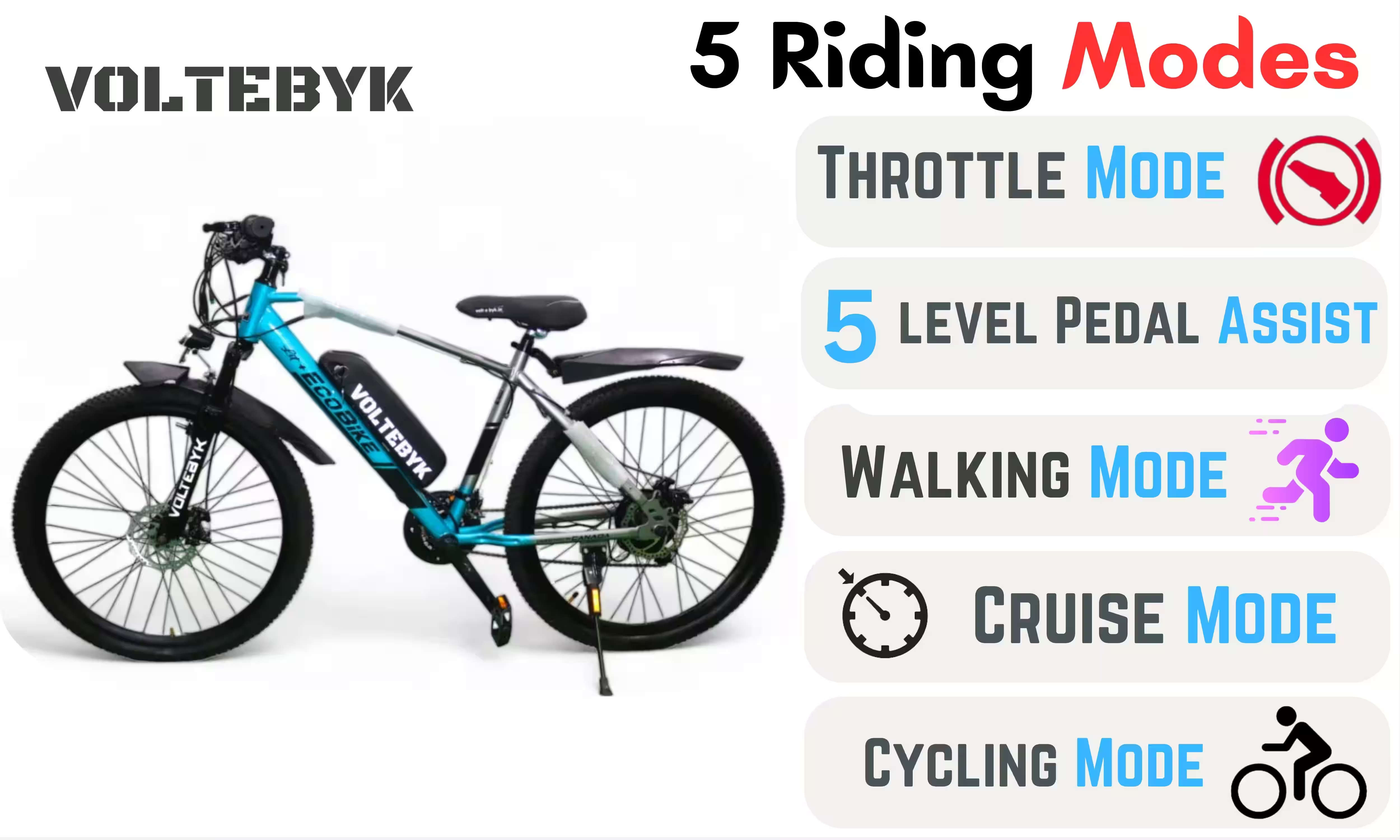 Bicycle specification detail 3 - Voltebyk Eco Lit plus (+) Electric cycle 10AH